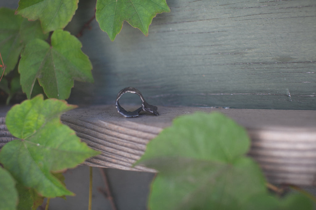 Spine Ring