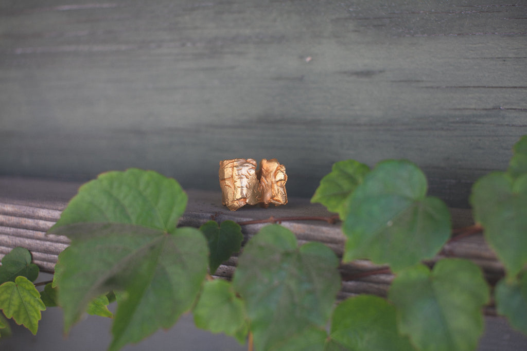 Spine Ring
