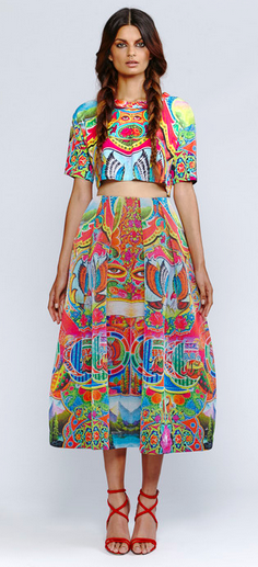 Delhi Belly Crop Top