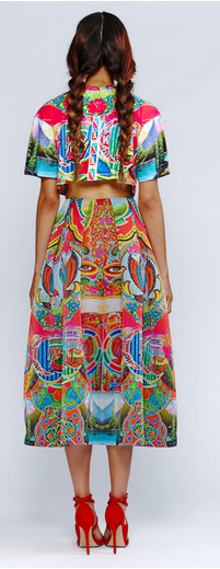 Delhi Belly Crop Top